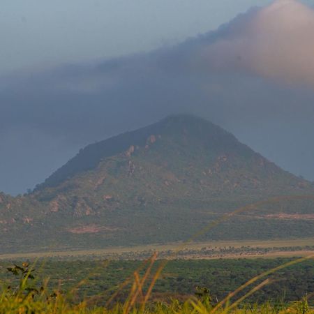 Voi Safari Lodge Ngoại thất bức ảnh