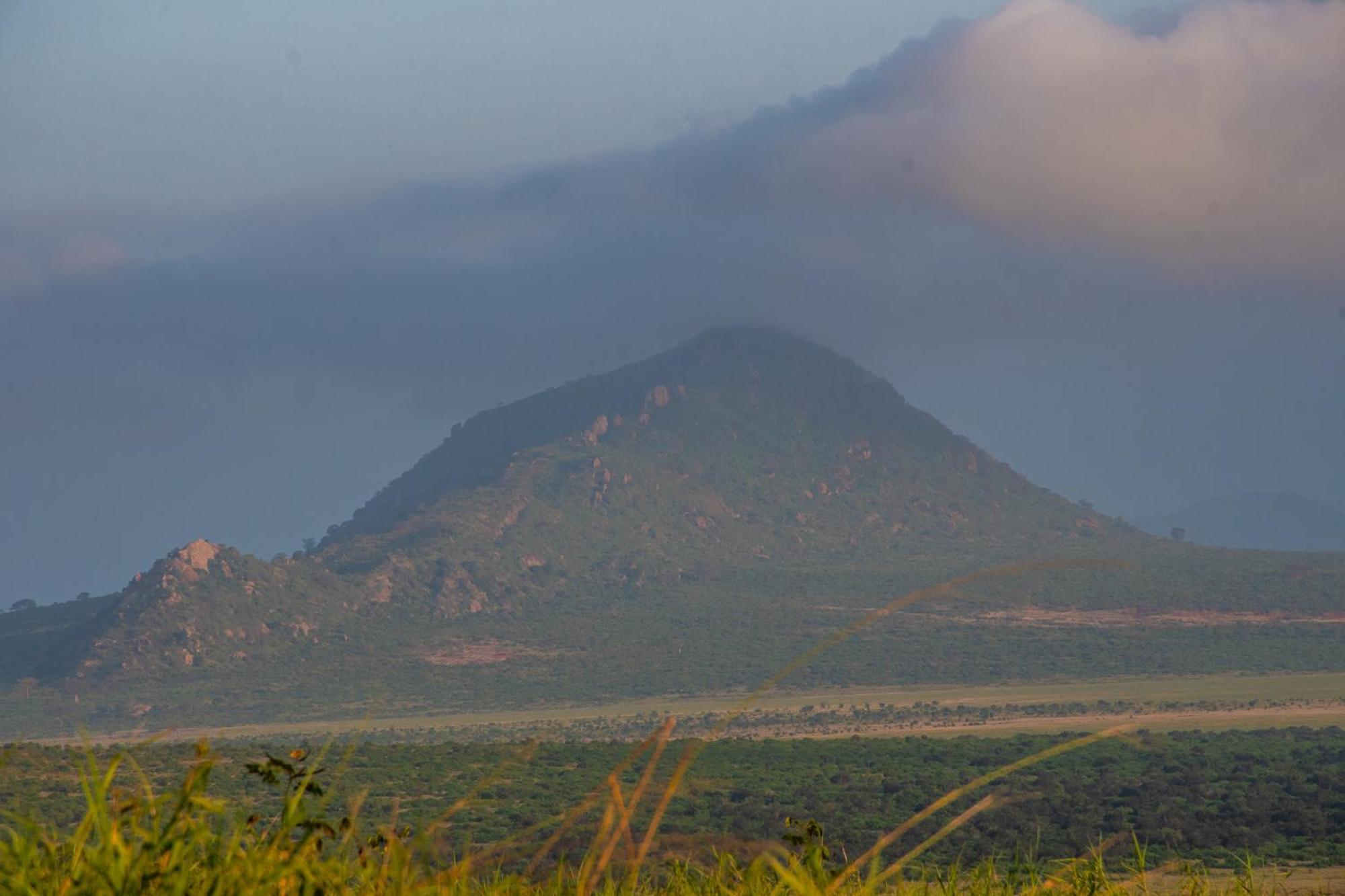 Voi Safari Lodge Ngoại thất bức ảnh