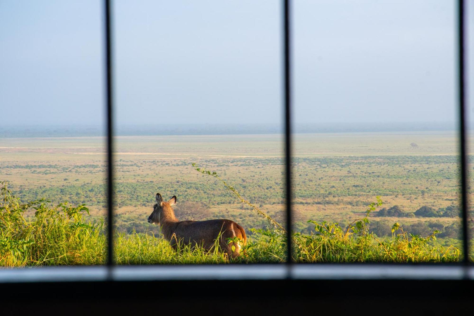 Voi Safari Lodge Ngoại thất bức ảnh