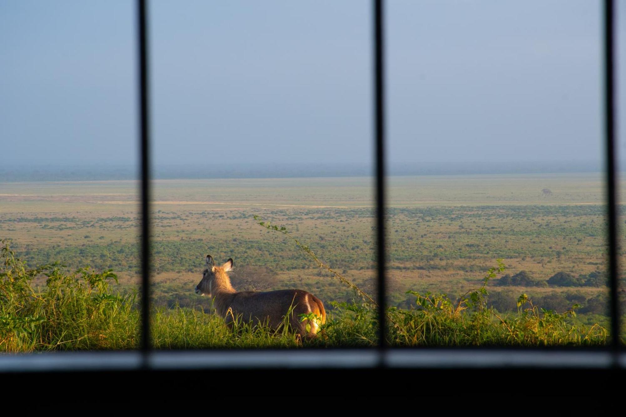 Voi Safari Lodge Ngoại thất bức ảnh