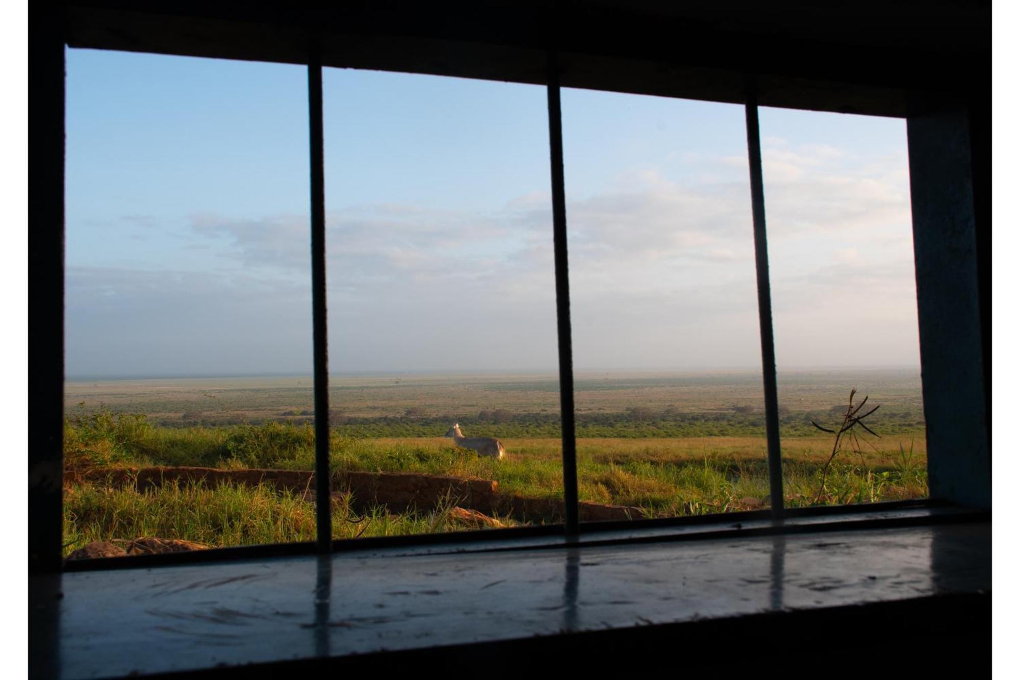 Voi Safari Lodge Ngoại thất bức ảnh